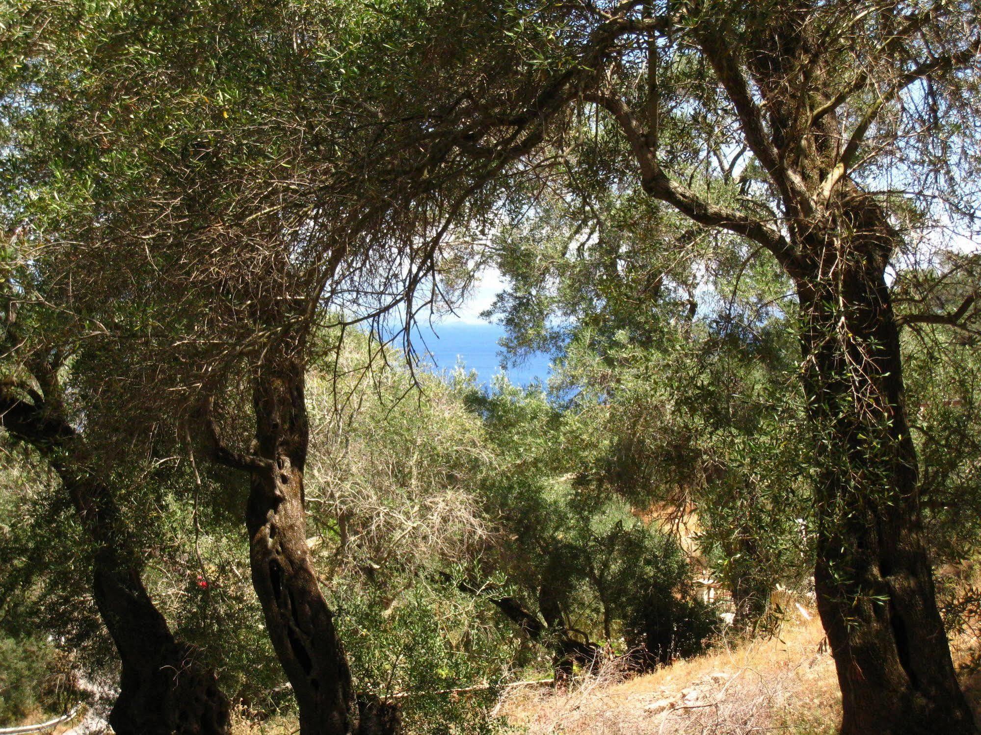 גאיוס Adamantia Hotel מראה חיצוני תמונה
